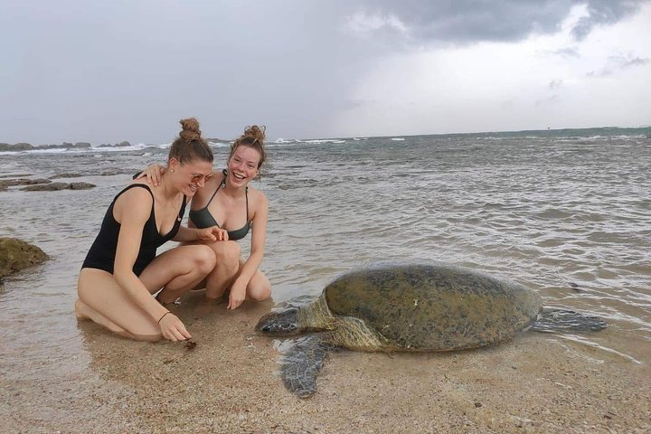 14 Days Tour in Sri Lanka (Hotels with Breakfast & Luxury Car) - Photo 1 of 10